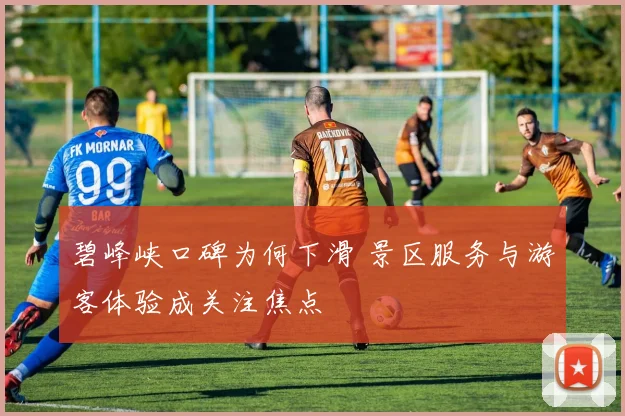 碧峰峡口碑为何下滑 景区服务与游客体验成关注焦点