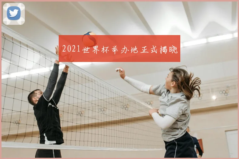 2021世界杯举办地正式揭晓