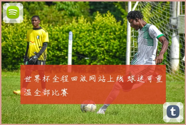 世界杯全程回放网站上线 球迷可重温全部比赛